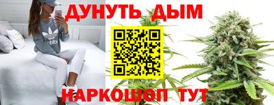 индика Кимры