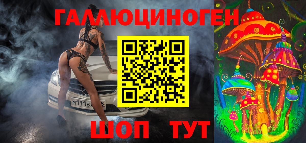 Королёв  Галлюциногенные грибы Psilocybine cubensis  Псилоцибиновые грибы MAGIC MUSHROOMS  Вход с VPN 